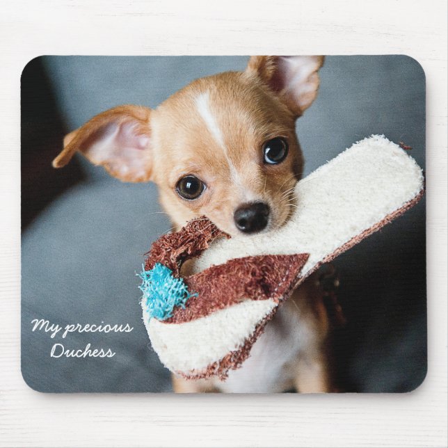 Anpassningsbar Cute Chihuahua Mouse Pad Photo Musmatta (Framsidan)