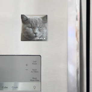 Anpassningsbar Cute Grått Kattunge Ansikte fotonät Magnet
