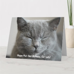 Anpassningsbar Cute Grått Kattunge Photo PurrFect Kort
