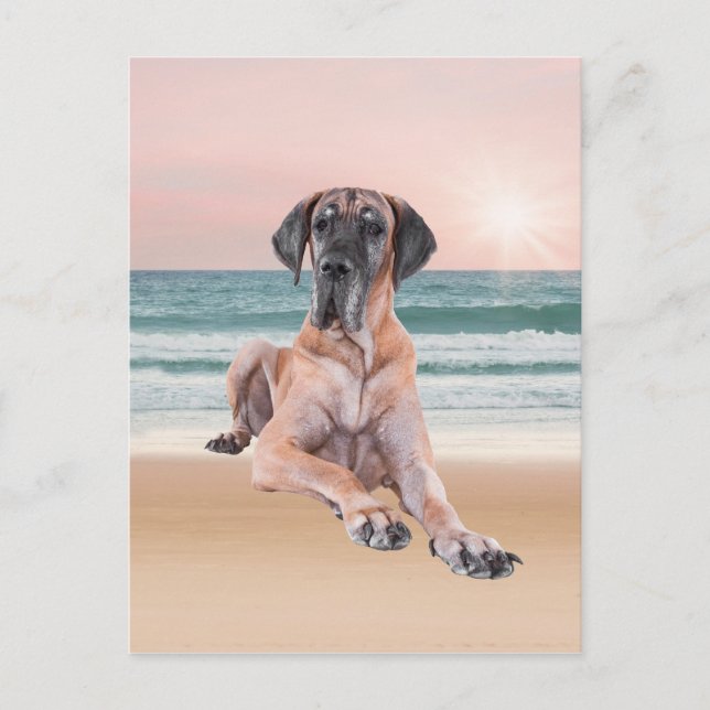 Anpassningsbar Cute Great dane Hund Sitta vid Beac Vykort (Framsida)