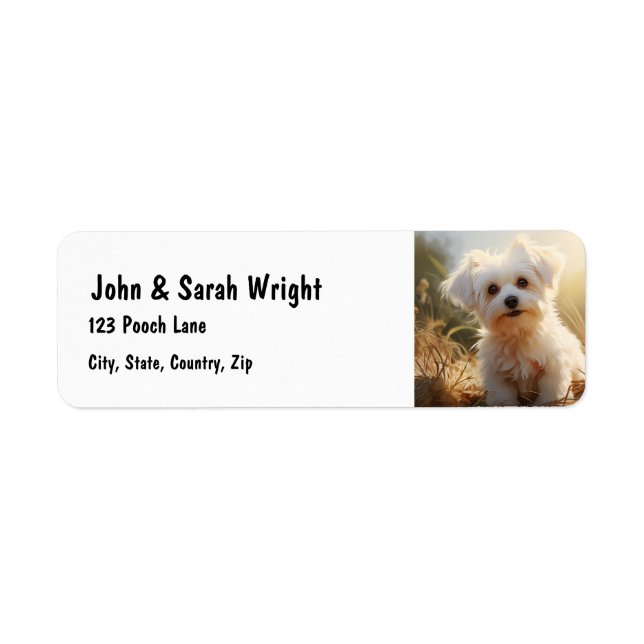 Anpassningsbar Cute Maltese Hund Address Label Returadress Etikett (Framsidan)