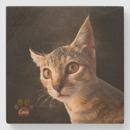 Anpassningsbar Cute Pet Kitten Cat-fotomall för Hu Stenunderlägg
