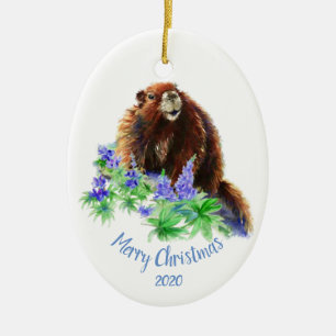 Anpassningsbar Dagen julmarmot, Groundhog Animal Julgransprydnad Keramik