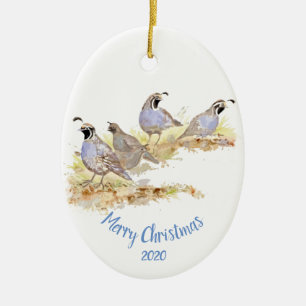 Anpassningsbar Dagen Kalifornien Quail Bird Art Julgransprydnad Keramik