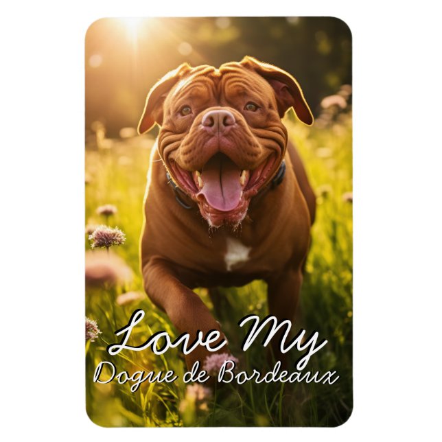 Anpassningsbar Dogue de Bordeaux Fridge Magnet (Vertikal)