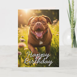 Anpassningsbar Dogue de Bordeaux Grattis på födels Tack Kort