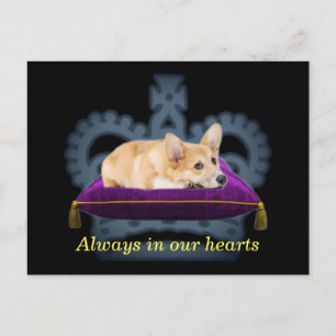 Anpassningsbar drottningcorgi kuddkrona vykort