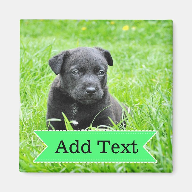 Anpassningsbar Family Pet Photo och Namn Bild Magn Magnet (Framsidan)
