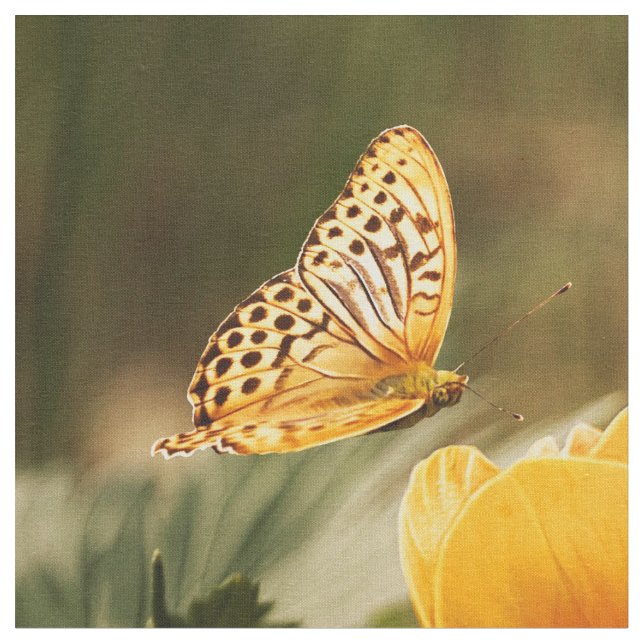 Anpassningsbar för Butterfly Art 32-alternativ Tyg (Närbild)