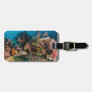 Anpassningsbar för Coral Reef-bagage Bagagebricka
