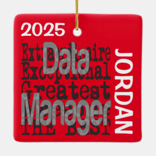 Anpassningsbar för Data Manager Extraordinaire Julgransprydnad Keramik