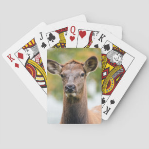 Anpassningsbar för fotoPersonlig Casinokort