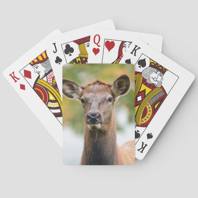 Anpassningsbar för fotoPersonlig Casinokort (Baksidan)