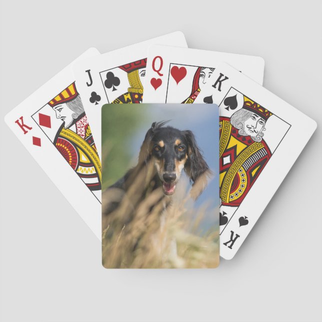 Anpassningsbar för fotoPersonlig Casinokort (Baksidan)
