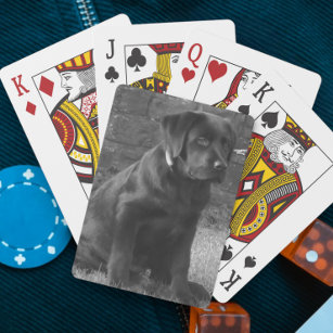 Anpassningsbar för fotoPersonlig Casinokort