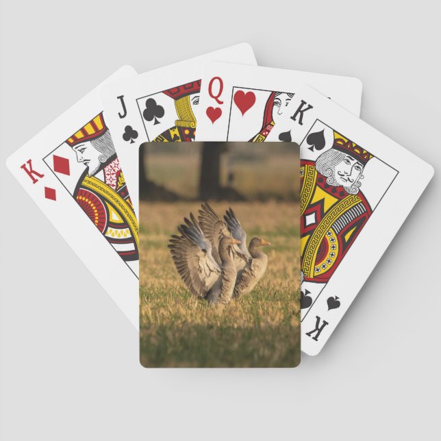 Anpassningsbar för fotoPersonlig Casinokort (Baksidan)