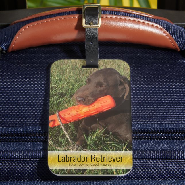 Anpassningsbar för utbytbar bildfamilj eller sälls bagagebricka (Framsida Insitu 2)