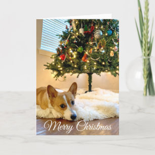 Anpassningsbar för vacker Corgi Julgran-foto Helgkort