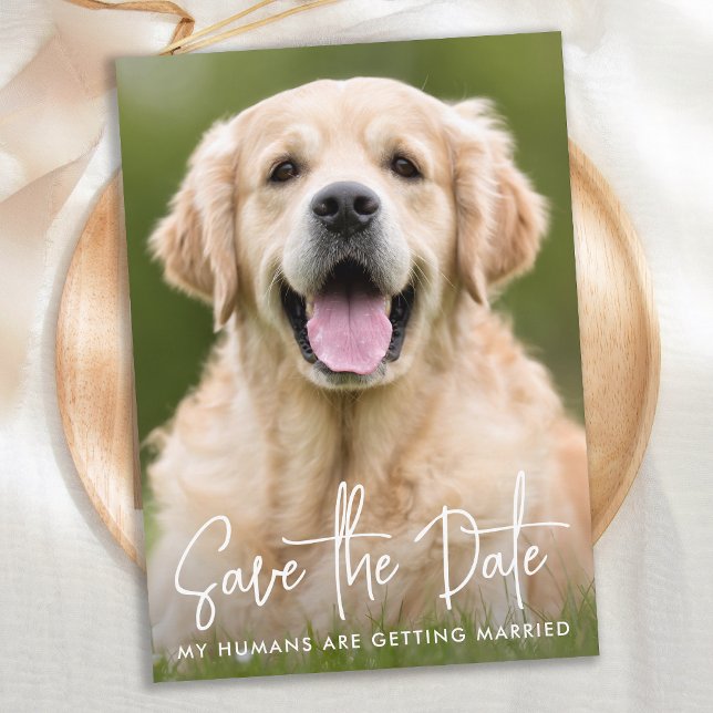 Anpassningsbar Foto Modern Simple Elegant Pet Hund Spara Datumet (Skapare uppladdad)