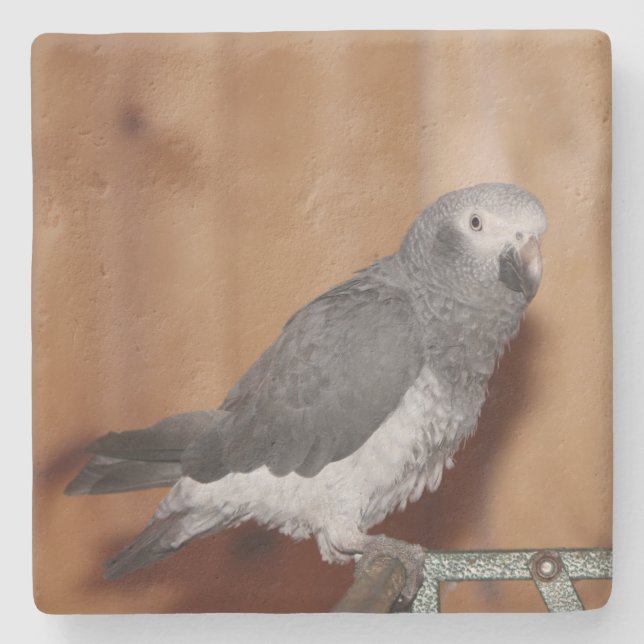 ANPASSNINGSBAR FOTO UNDERLÄGG (Framsidan)