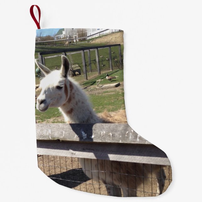 Anpassningsbar-fotobild bild llama alpaca liten julstrumpa (Framsidan)