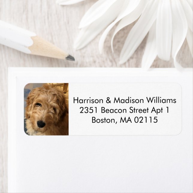 Anpassningsbar fotobild modern söt Returadress Returadress Etikett (Insitu)