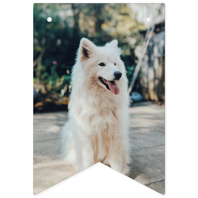 Anpassningsbar fotobuntning flaggor födelsedagstju (Femte flaggan)