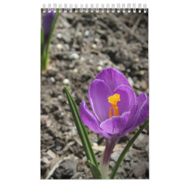 Anpassningsbar Fotografiväggskalender Kalender
