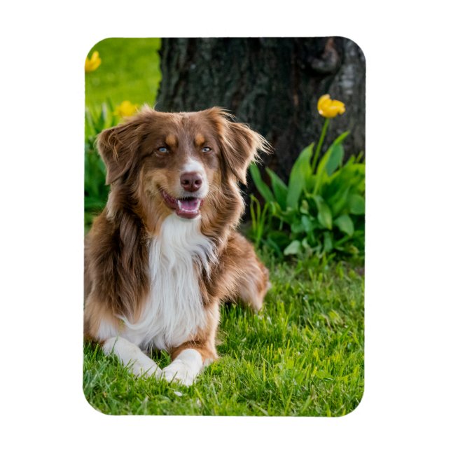 Anpassningsbar Fotokylskåp Magnet (Vertikal)