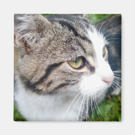 Anpassningsbar fotomagnet för kylskåp | Din bild h Magnet