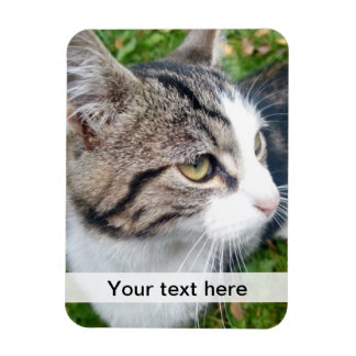 Anpassningsbar fotomagnet | Ladda upp bilden här Magnet
