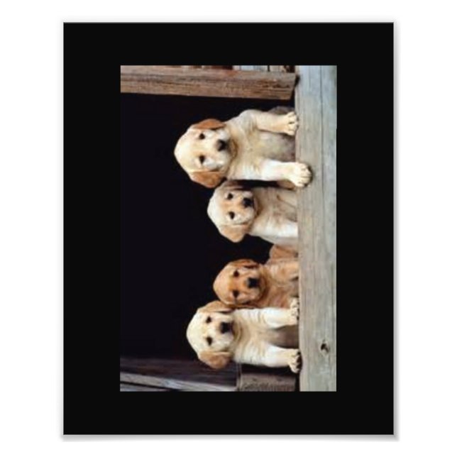 ANPASSNINGSBAR FOTOSKRIVARE 8 X 10 FOTOTRYCK (Framsidan)