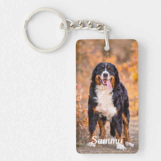 Anpassningsbar Fotosympati - Pet-förlust - Pet Mem (Framsidan)