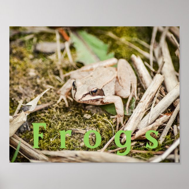 Anpassningsbar "Frogs" Amphibians Wood Frog Poster (Framsidan)