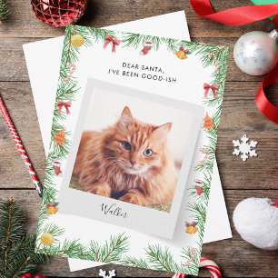 Anpassningsbar Funny Pet Cat Kära jultomten Julkort