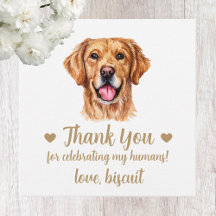Anpassningsbar Golden Retriever-Hund favoritMärkre