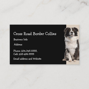 Anpassningsbar Gräns Collies Hund Pet Animal Logot Visitkort