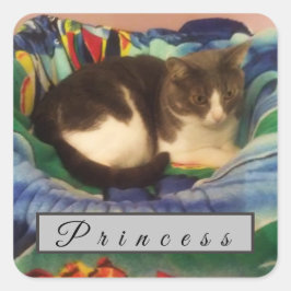 Anpassningsbar Grått och vitDomestic Kort hårkatt Fyrkantigt Klistermärke