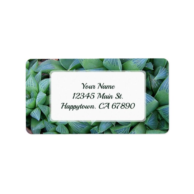 Anpassningsbar Grönt Hahavia Succulent Plant Adres Adressetikett (Framsidan)