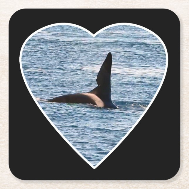 Anpassningsbar hajbett-fena John Coe Orca Underlägg Papper Kvadrat (Framsidan)
