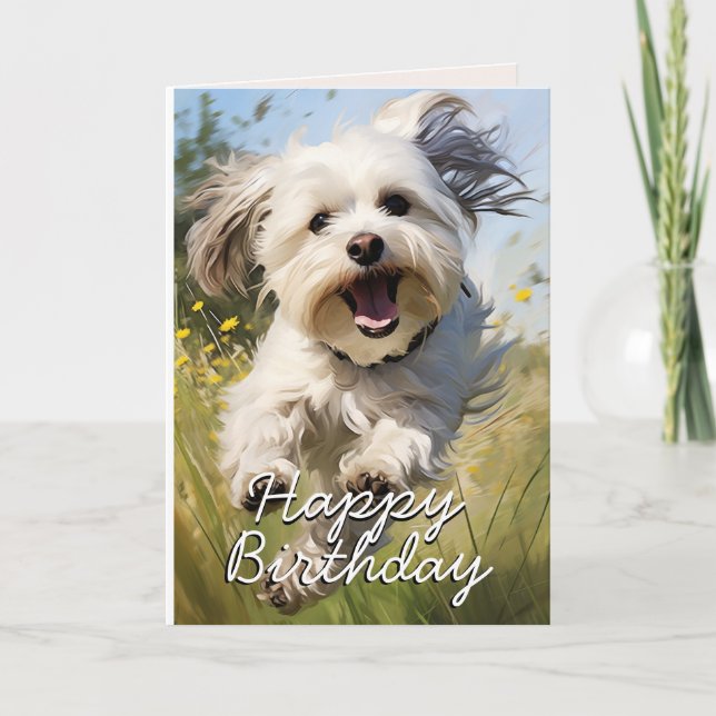 Anpassningsbar Havanese Birthday Card Tack Kort (Framsida)