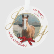 Anpassningsbar Horse Namn Photo Equestrian