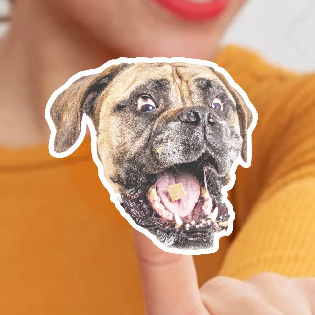 Anpassningsbar Hund Ansikte vinylStickers Klistermärken (Skapare uppladdad)