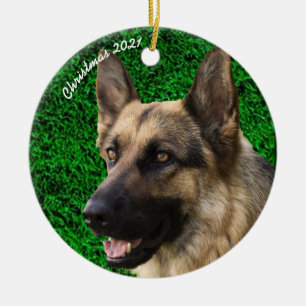 Anpassningsbar Hund Cat Pet Photo Upload Image Jul Julgransprydnad Keramik