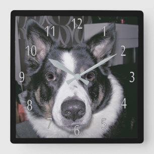 Anpassningsbar Hund Clock Fyrkantig Klocka