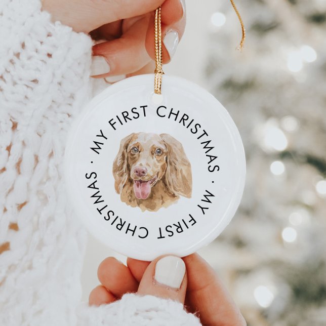 Anpassningsbar Hund Dachshund Min första jul Julgransprydnad Keramik (Skapare uppladdad)