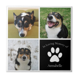 Anpassningsbar Hund fotominnesminne i överhoppning Kakelplatta