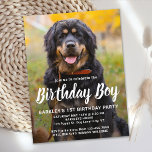 Anpassningsbar Hund Fotopartiinbjudan till födelse Vykort<br><div class="desc">Födelsedag pojke! Inbjudan vänner och familj till din valp eller hund födelsedagsfest med det här enkla hund för födelsedagskalender. Lägg till din valps favoritfoto och anpassa dig med namn, födelsedagsnummer och all födelsedagsfest för hund! Byt till Birthday Girl av en valp. Besök vår samling för att hitta matchande dekoration och...</div>