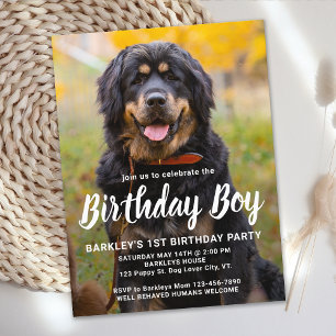 Anpassningsbar Hund Fotopartiinbjudan till födelse Vykort