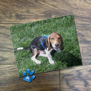 Anpassningsbar hund fotopussel